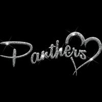 GLT6 SILVER GLITTER Thumbnail